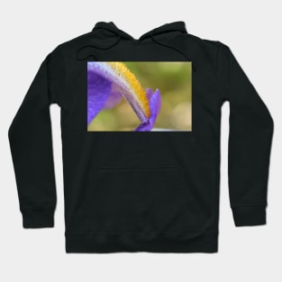 Exquisite iris 2 Hoodie